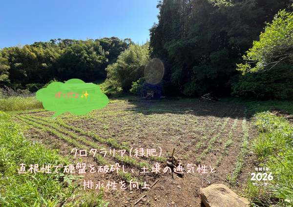 8_コピー