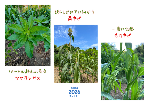 20_コピー